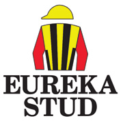 Eureka Stud Logo