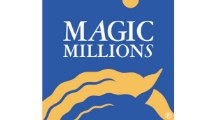 Magic Millions | Brisbane Racing Club