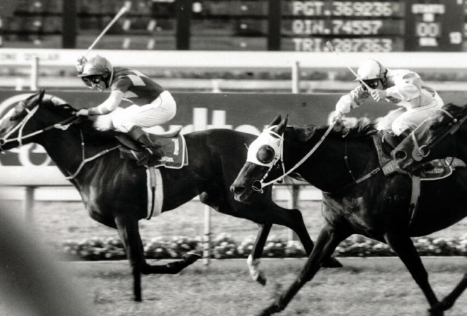 Rough Habit wins the Stradbroke Handicap 1992 | Brisbane Racing Club