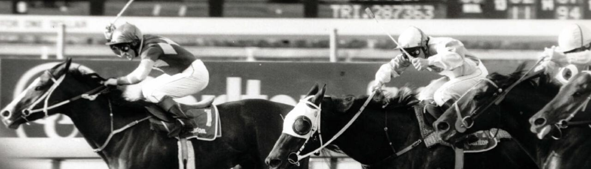 Rough Habit wins the Stradbroke Handicap 1992 | Brisbane Racing Club