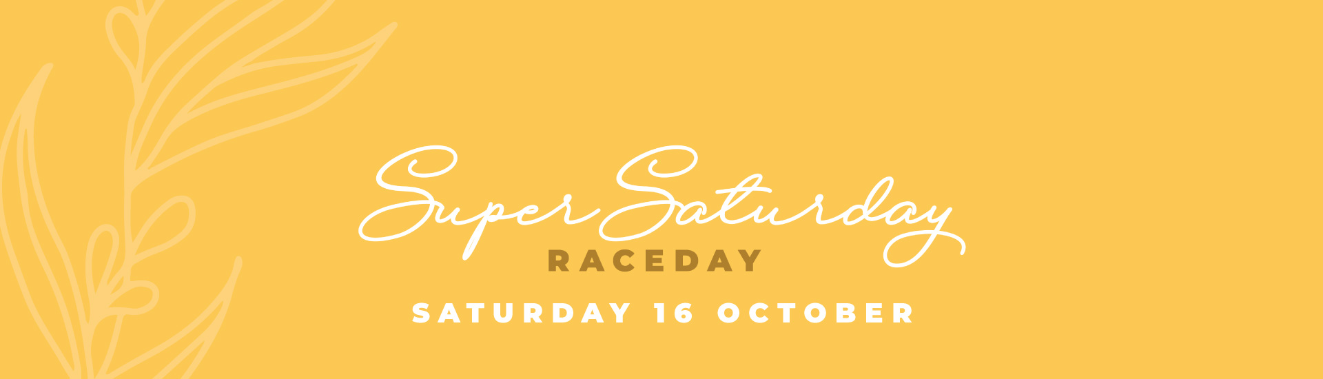 02_Super-Saturday-NS_Webpage-banner_1920x550 | Brisbane Racing Club