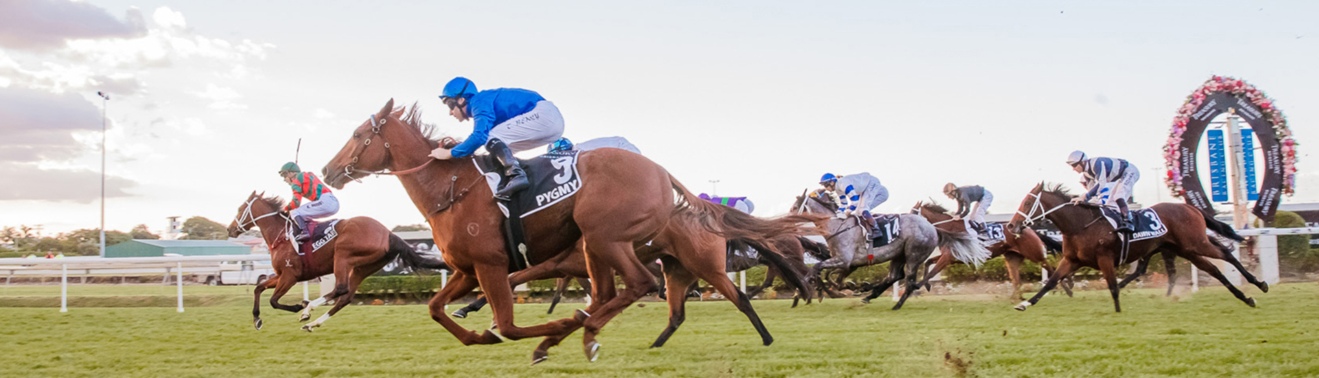 Brisbane Racing Club Trainers at Eagle Farm and Doomben are able to utilise the most diverse training options in Australia.