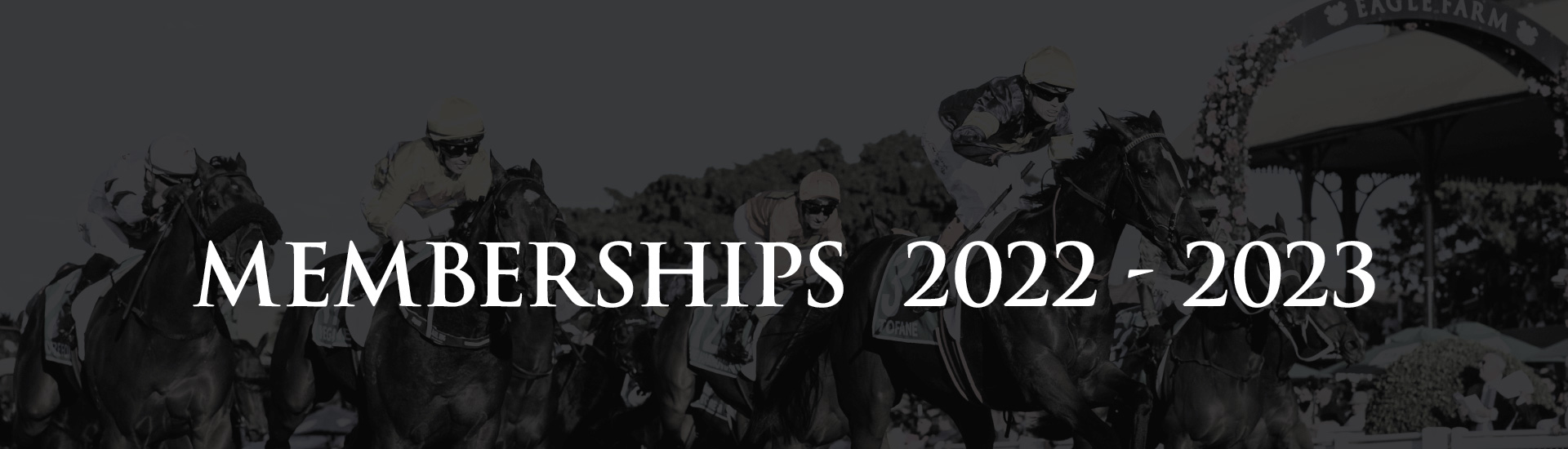 Membership Brisbane Racing Club Brisbane Racing Club