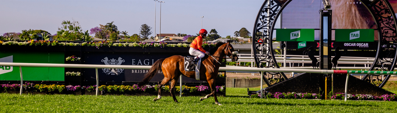 Barts Preview - Apache Chase - Banner | Brisbane Racing Club