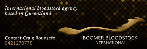 Boomer Bloodstock | Brisbane Racing Club