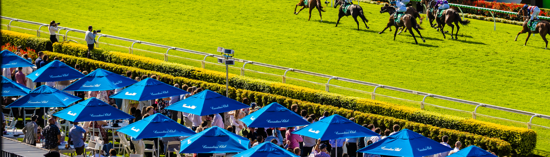 Canadian Club Umbrella Web Banner1 | Brisbane Racing Club