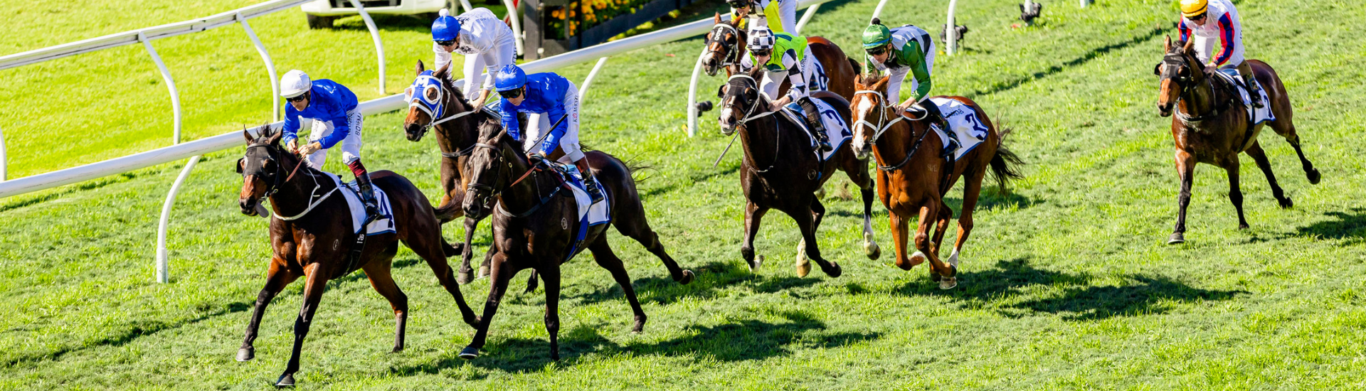 Doomben-wrap-up-sat-1-jan-web-banner | Brisbane Racing Club