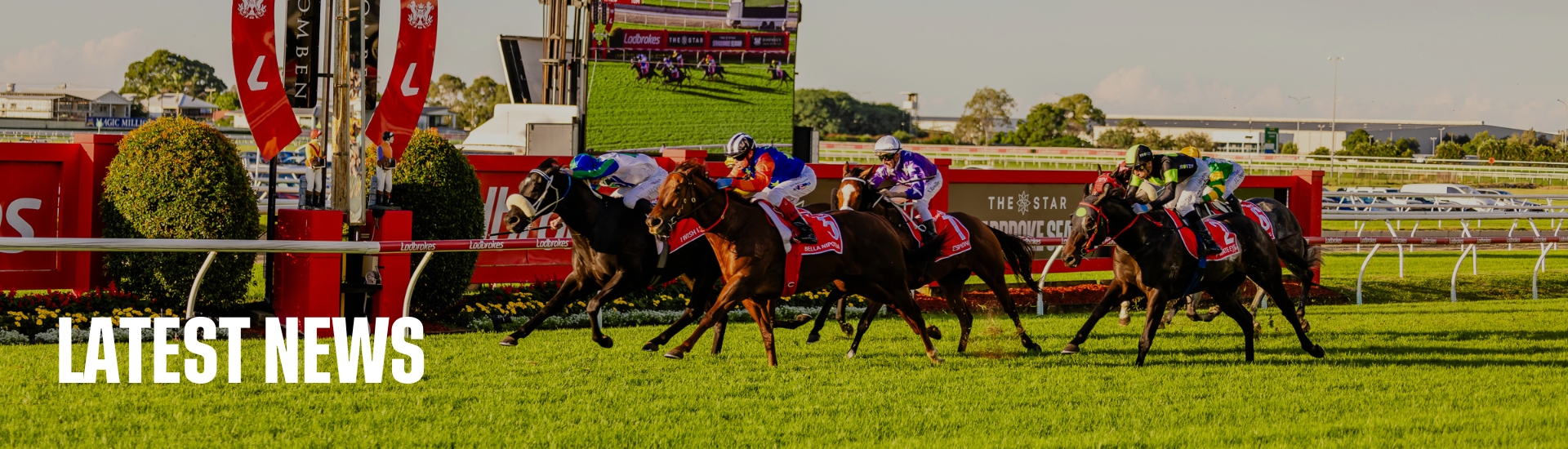Bella Nipotina wins the 2024 Ladbrokes Doomben 10,000