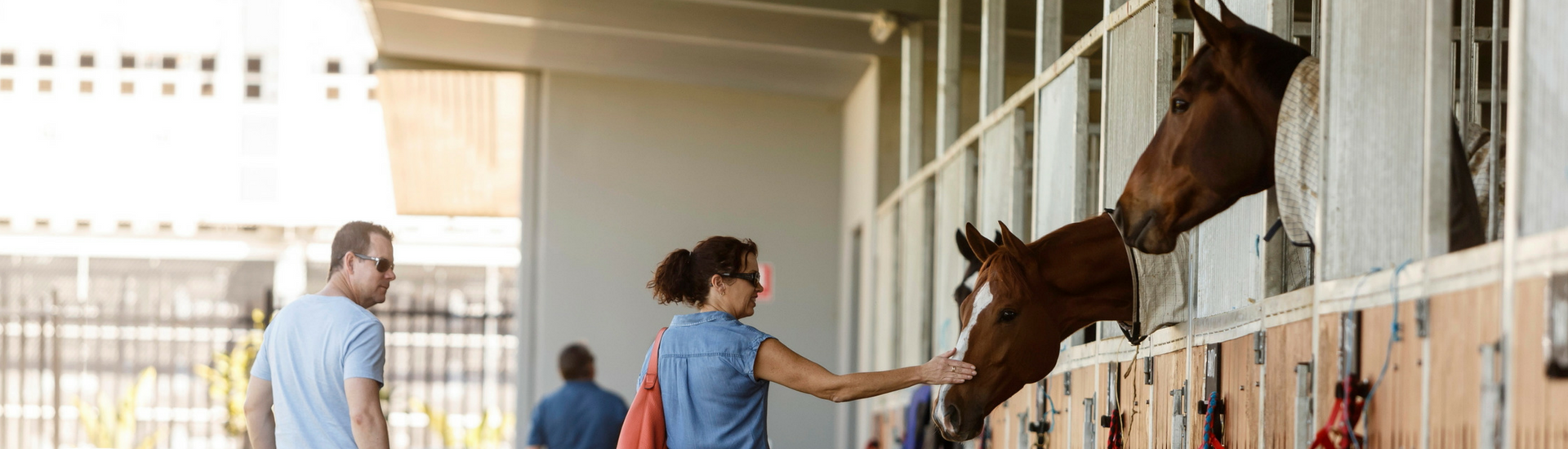 BRC Unveils $20 Million Boost for State’s Racing Industry  | Brisbane Racing Club