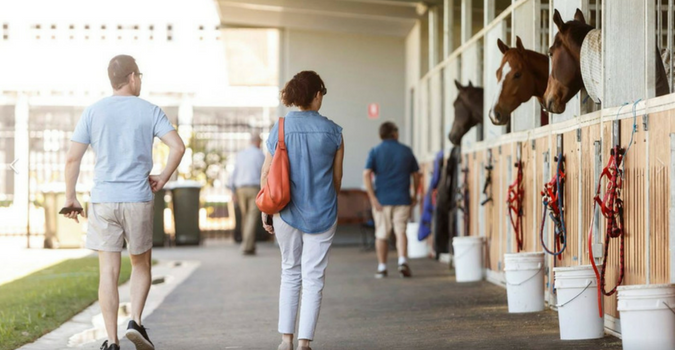 Infield-stables-opening