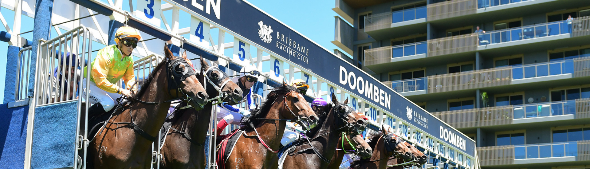 Saturday Wrap-Up 13112021 - Web Banner | Brisbane Racing Club