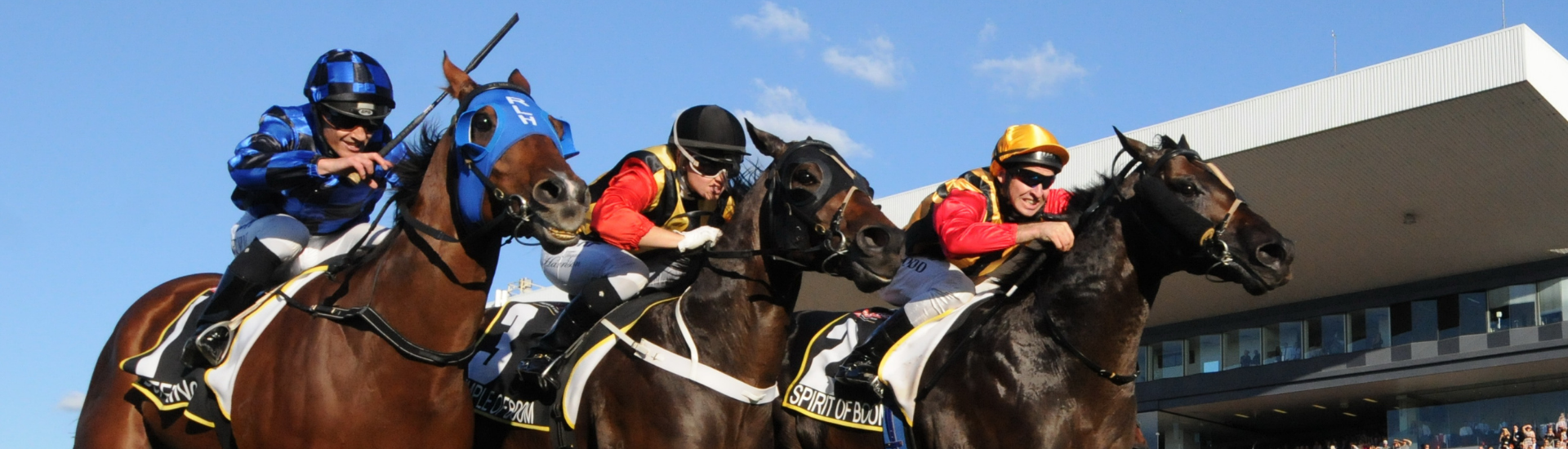 Spirit of Boom in the spotlight - Web Banner | Brisbane Racing Club
