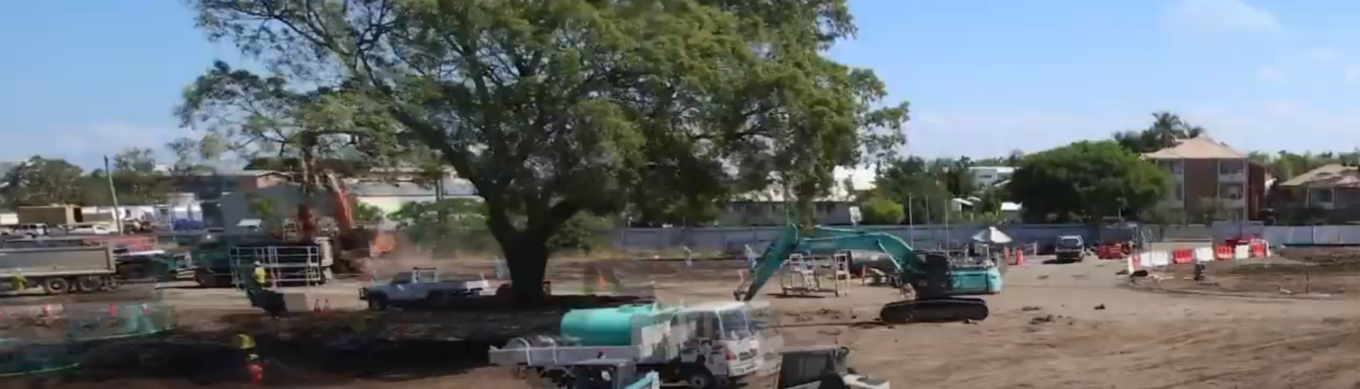 Bernborough Ascot Fig Tree Relocation | Brisbane Racing Club 