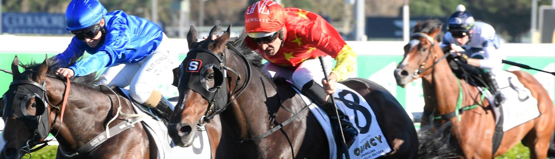 High Hopes for Hightail this Winter | Brisbane Racing Club 