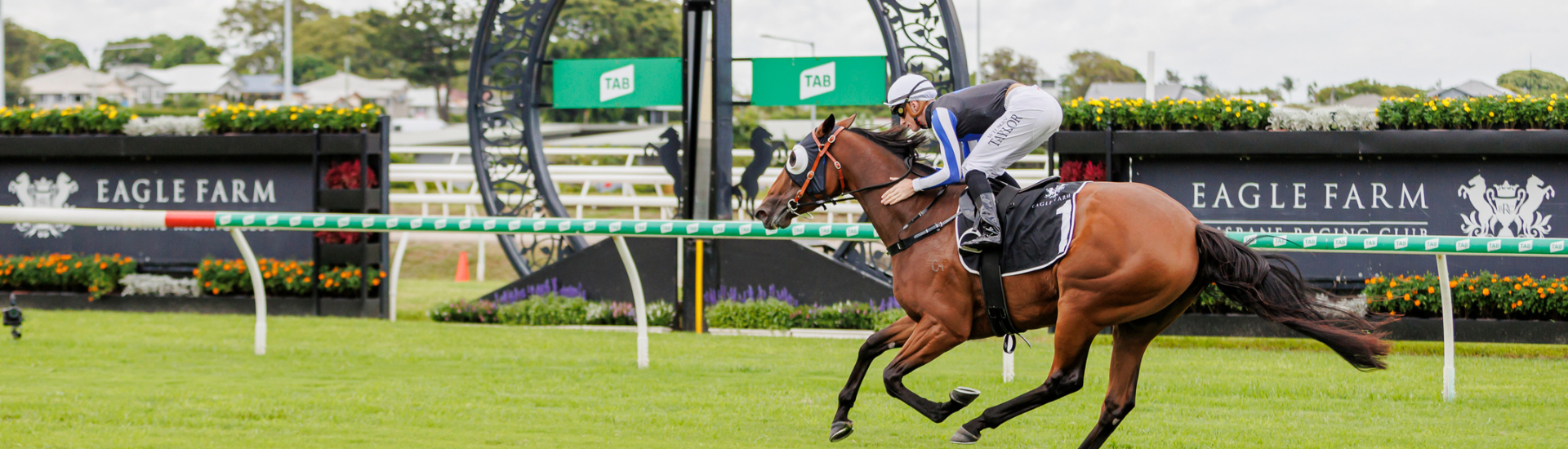 macbet-gypsy-goddess-web-banner | Brisbane Racing Club