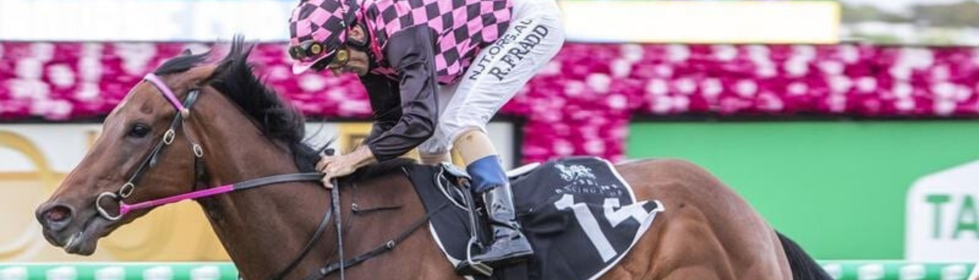 Deep Image set to follow in family footsteps | Brisbane Racing Club 