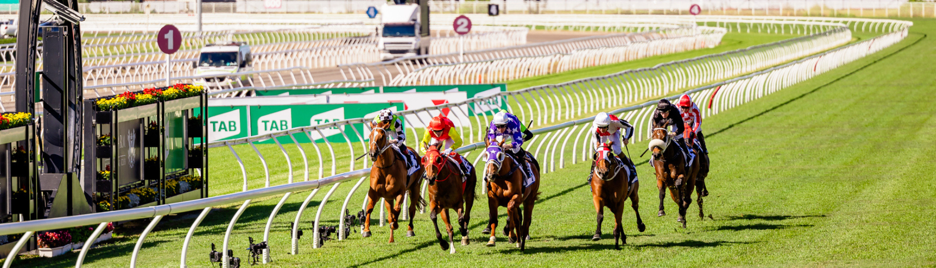 trainer-profile-lawrie-mayfield-smith-web-banner | Brisbane Racing Club