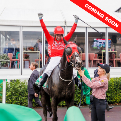 10000-day-coming-soon-calendar-tile | Brisbane Racing Club