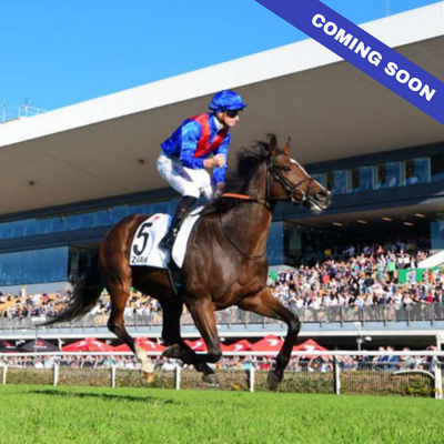 doomben-cup-day-coming-soon-calendar-tile | Brisbane Racing Club