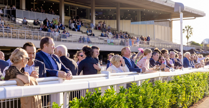 Whats On Members Stakes Eagle Farm
