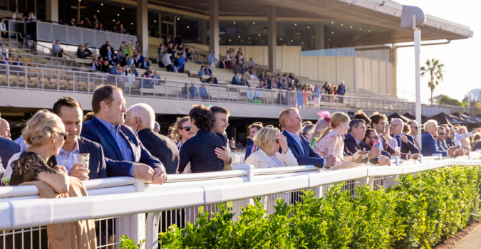 Whats On Members Stakes Eagle Farm 