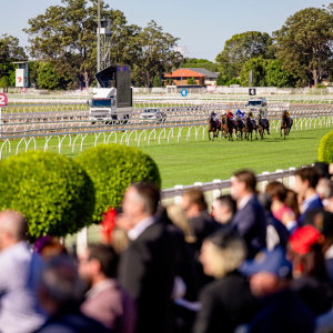 300x300 Trackside experience 