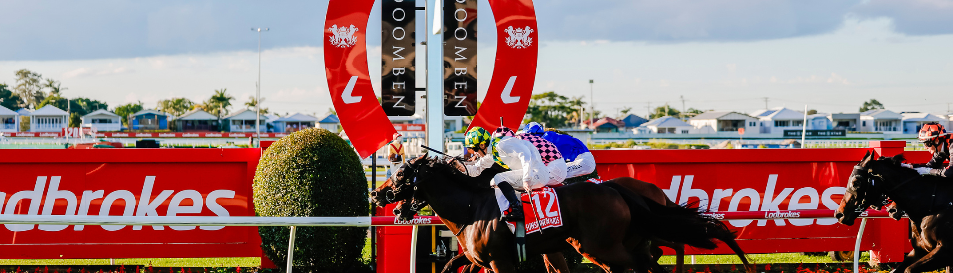 DN 10k - landing page