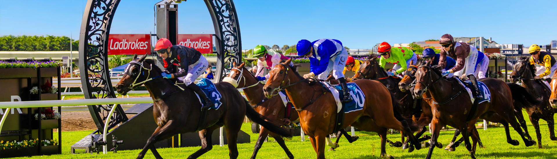 SS26_Hero Image_01 Guineas_1920x550