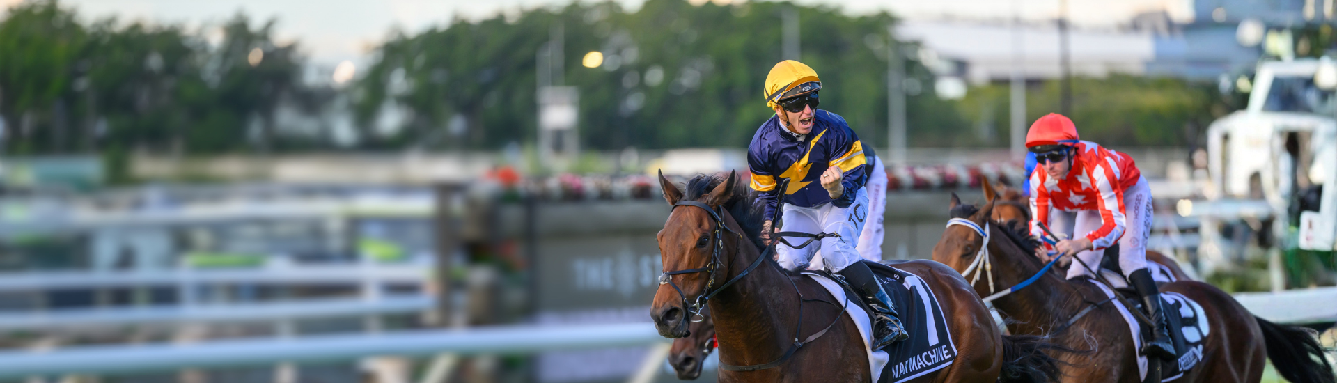 Stradbroke Day 2026_Temp web banner