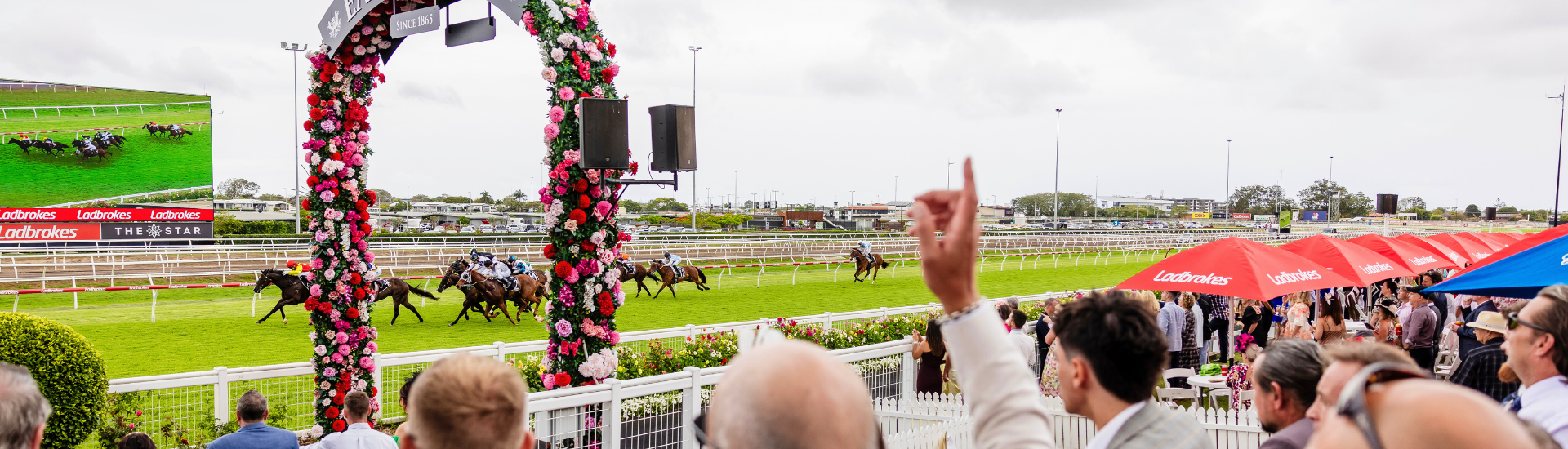 Guineas Day - landing page