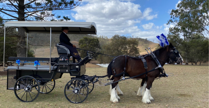 Whats On Horse and Carriage Rides 675x350