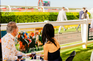 Members Guest DN_Inclusions