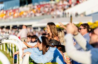 Members Pass DN_Best Suited