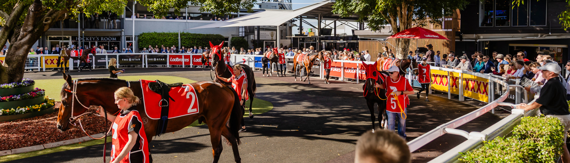 Package Landing Page Web Banner_Racecourse Admission_DN