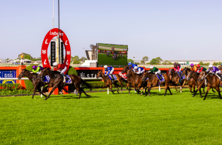 Racecourse Admission DN_Inclusions