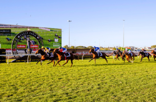 Website Tile_Members Guest Pass EF