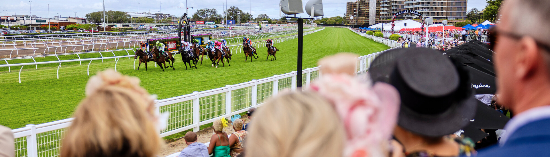 Standard Saturday - EF