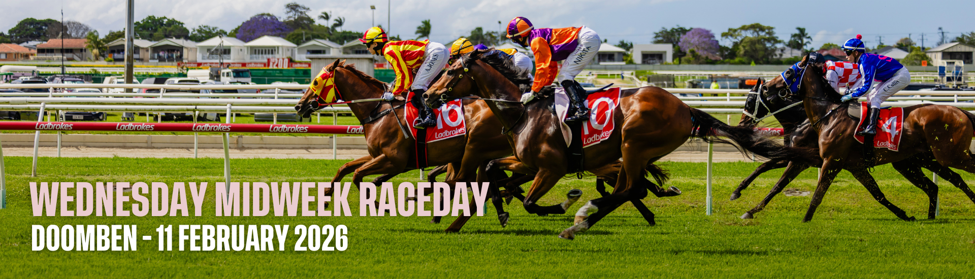 DN Midweek - 11 Feb 2026