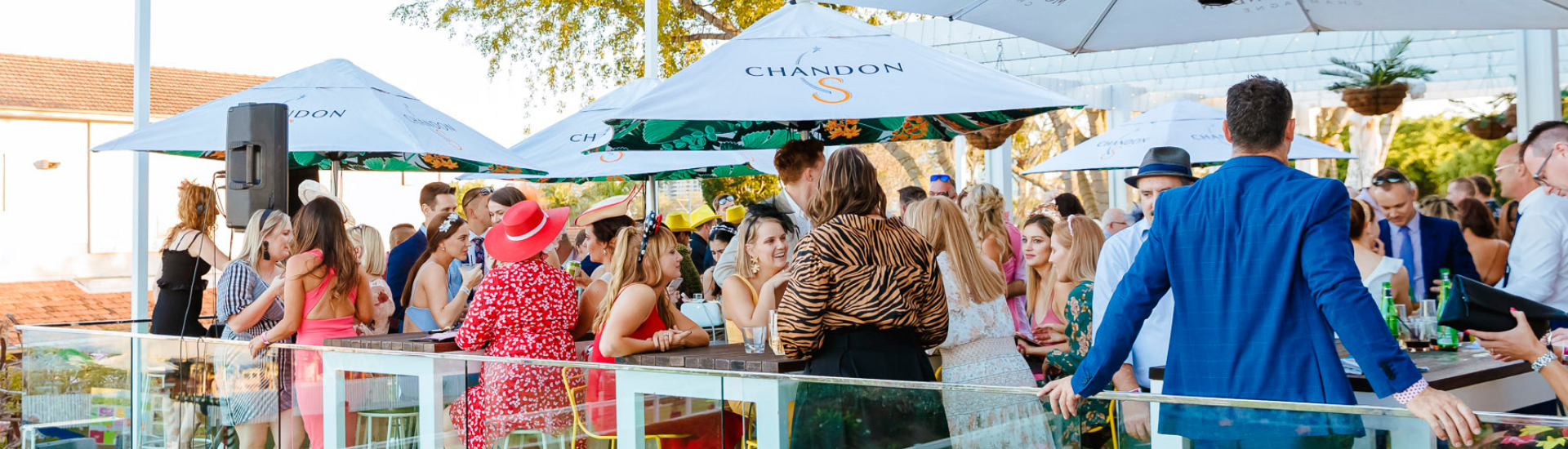 Package Landing Page Web Banner_The Society