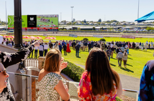 The Society_Important info