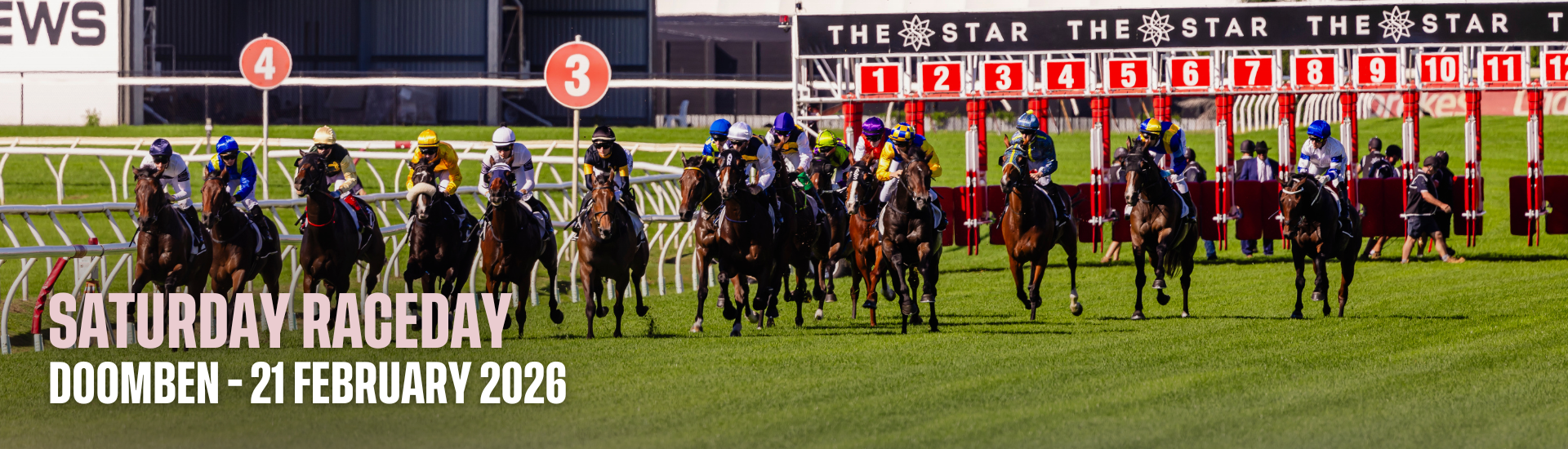 DN Saturday - 21 Feb