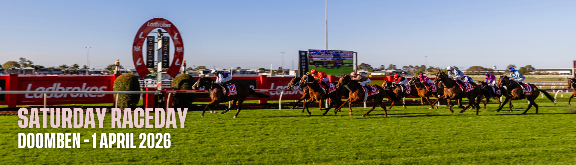 Dn Sat - 1 April 2026