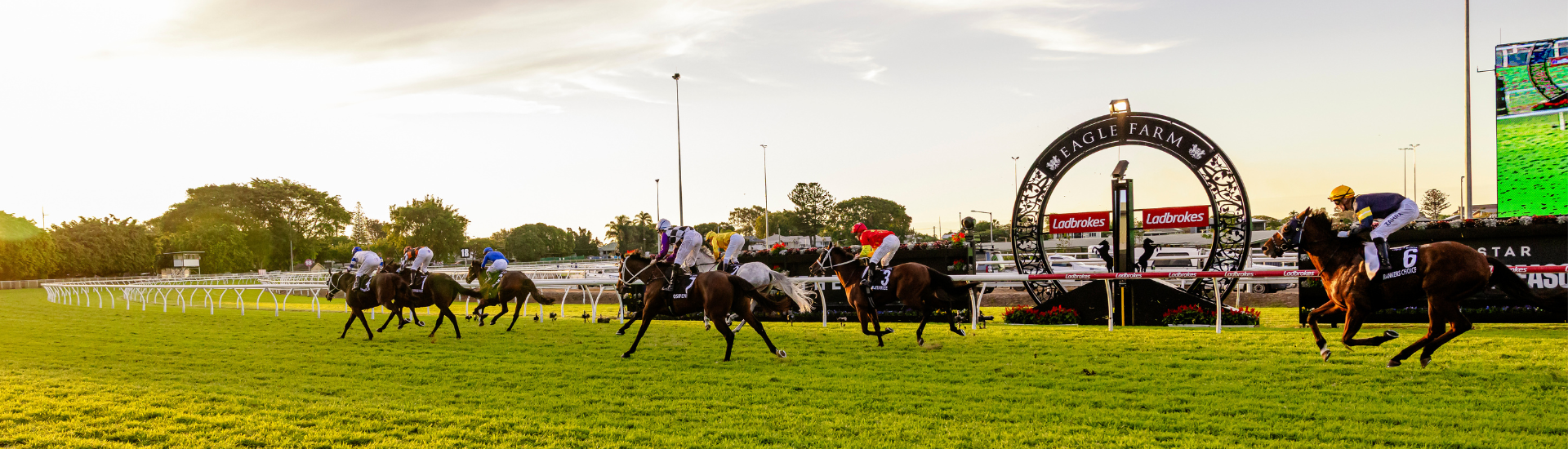 Winning Enclosure Banner (1)