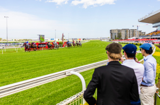 Grove_Important info