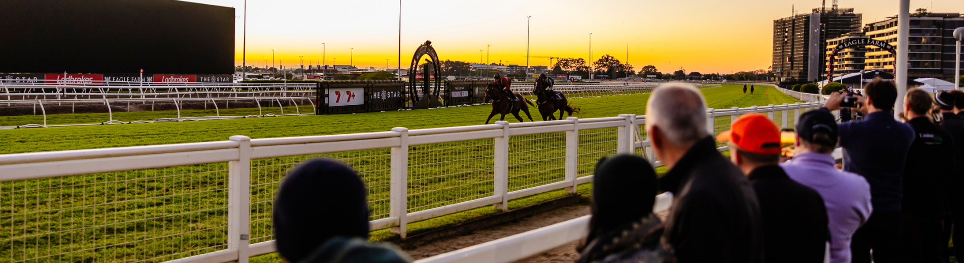 photo of horses racing at eagle farm in the morning 