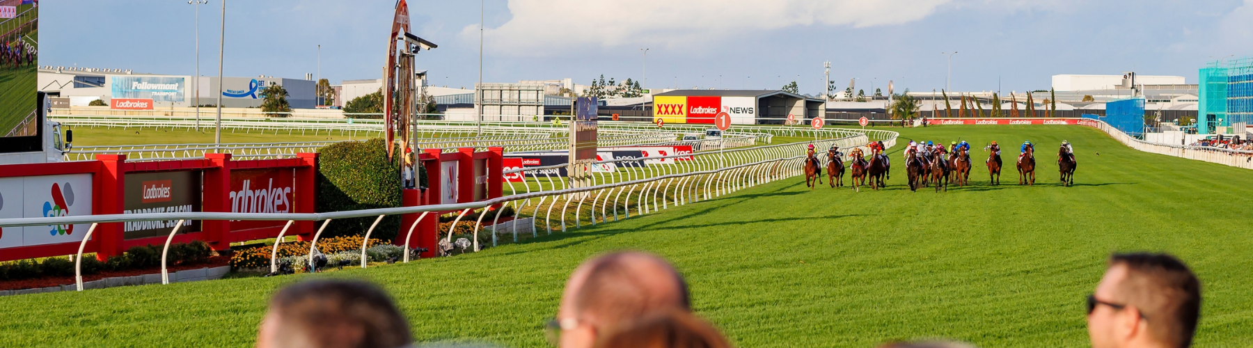 doomben track horses