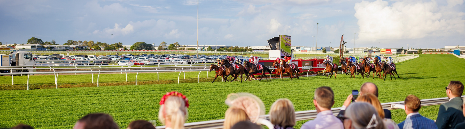 doomben track horses