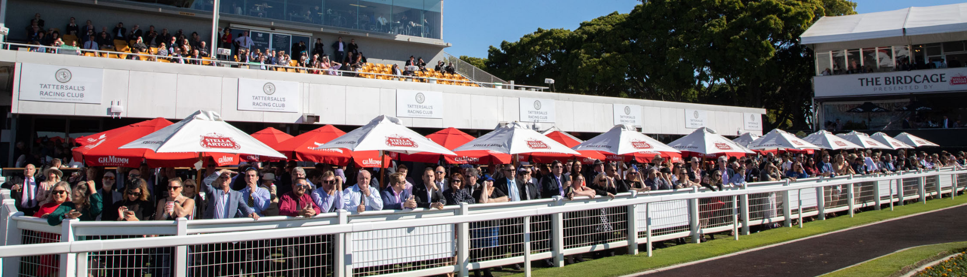 Members' Reserve Tickets  Brisbane Racing Club - Brisbane Racing Club