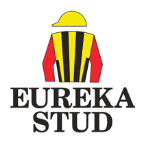 Eureka Stud Logo
