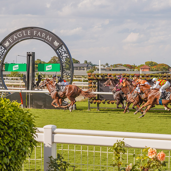 Live Horse Racing at Brisbane Racing Club